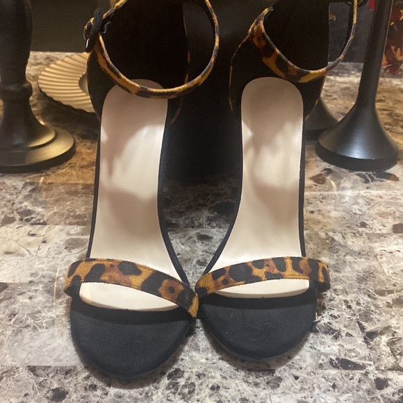 Pretty Kitty - Picture 2 of 3